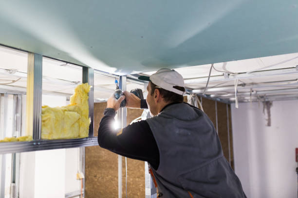 Best Soundproof Insulation Installation  in Round Rock, TX